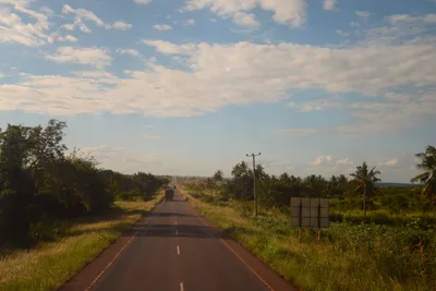 DSC_9721 (Large).JPG